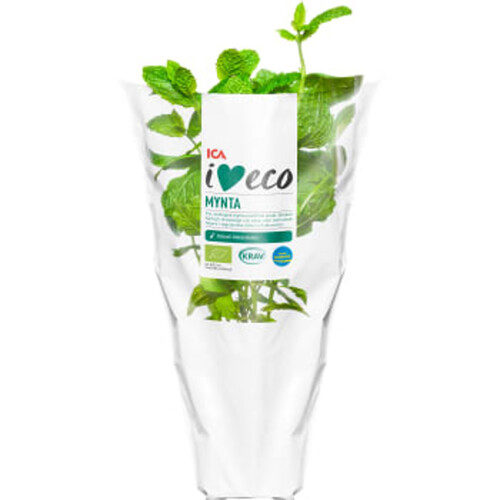 Mynta Ekologisk 1-p KRAV ICA I love eco