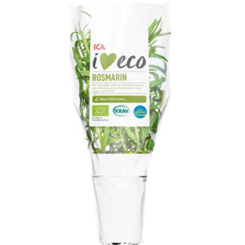 Rosmarin Ekologisk 1-p KRAV ICA I love eco