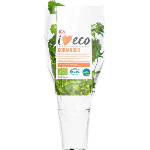 Koriander i kruka Ekologisk 1-p KRAV Klass 1 ICA I love eco