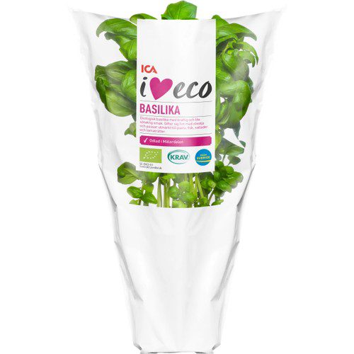 Basilika Ekologisk 1-p KRAV ICA I love eco
