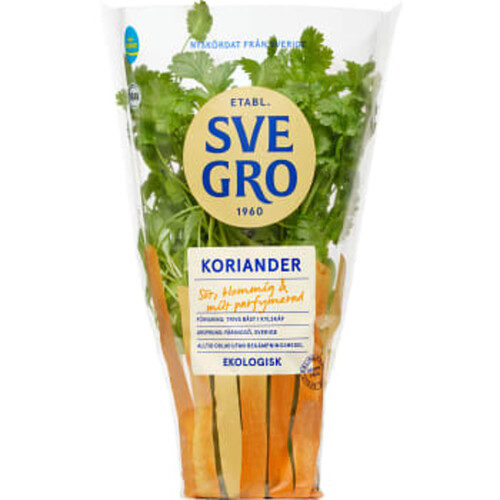 Koriander i kruka Ekologisk 1-p KRAV Svegro