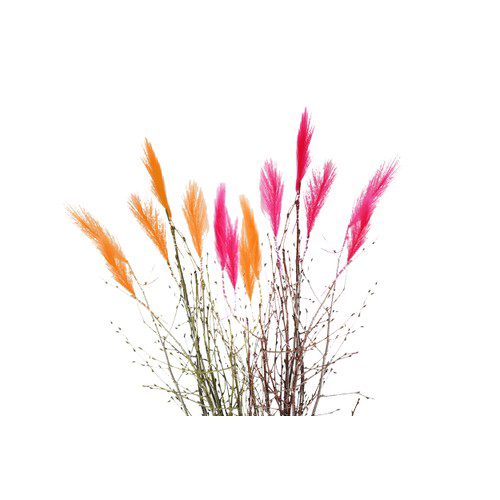 Påskris i bunt med fjädrar Varierande färger