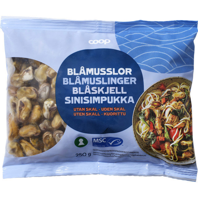 BLÅMUSSELKÖTT