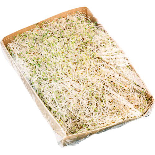 ALFALFA GRODDAR KRAV