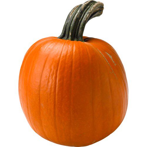 Pumpa ca 4kg