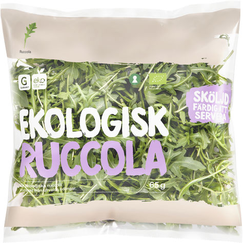 Ruccola Ekologisk Klass 1
