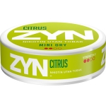 Nikotin Utan Tobak Snus Dosa Mini Dry Citrus 1-P 