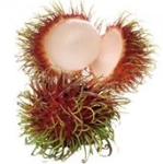 Rambutan 4-Pack