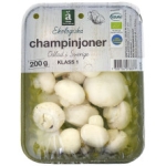 Svamp Champinjon Eko