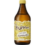 Kombucha Lemon/Ginger Eg