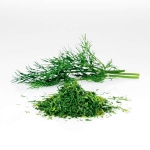 Dill, Fryst