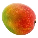 Mango Klass 1