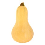 Pumpa Butternut