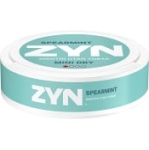Dry Spearmint  