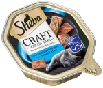 Kattmat Tonfisk