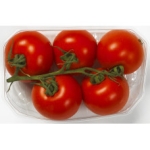 Tomater Kvist Eko