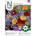 Sommarblommor Mix