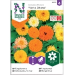 Ringblomma Fiesta Gitana 1-P