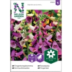 Fingerborgsblomma 1-P