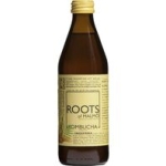 Kombucha Ingefära