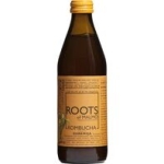 Kombucha Gurkmeja