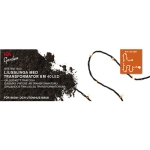 Ljusslinga System 1500 40Led 6M