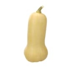 Pumpa Butternut 1-Pack