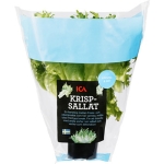 Krispsallat I Kruka 1-P Klass 1