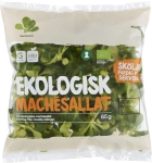 Machesallad, Klass 1 Eko