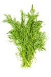 Dill Flowpack, Klass 1