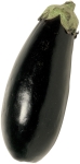 Aubergine