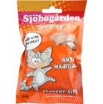 Anti Hairball Katt