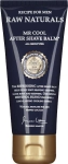After Shave Balm Mr Cool