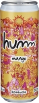 Kombucha Mango