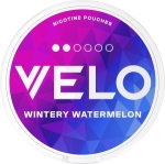  Wintry Watermelon Mini