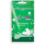 Tuggummi Spearmint