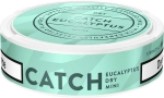 Catch Dry Eucalyptus Mini Portion