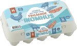 Ägg Frigående Inomhus M