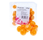 Physalisbär  Klass1