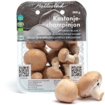 Skogschampinjoner Sverige Eko/Krav Klass1