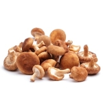 Svamp Shiitake Eko Klass1