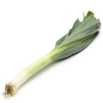 Purjolök Klass1