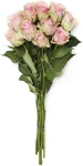 Rosor Rosa 10-Pack