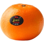 Clementin Leandri Ca Klass 1