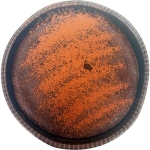 Kladdkaka Ca 500G