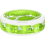 Spearmint Mini Portionssnus 10g Catch