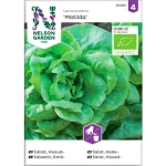 Sallat Huvud Matilda Organic 1-P 