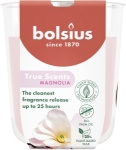 Doftljus Magnolia