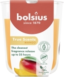 Doftljus Mango