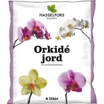 Orkidéjord  Hasselfors